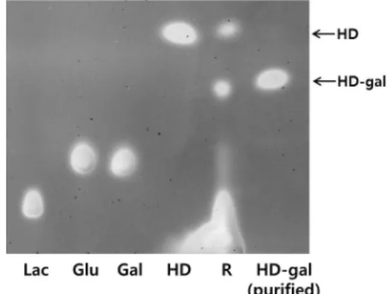 Fig. 7. TLC  analysis  of  purified  HD-gal. 