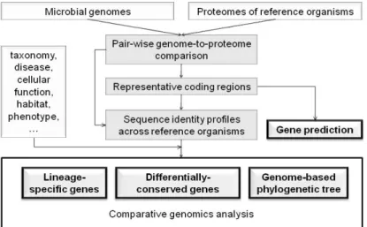 Figure 1. Overview of microbial genomics pipeline 