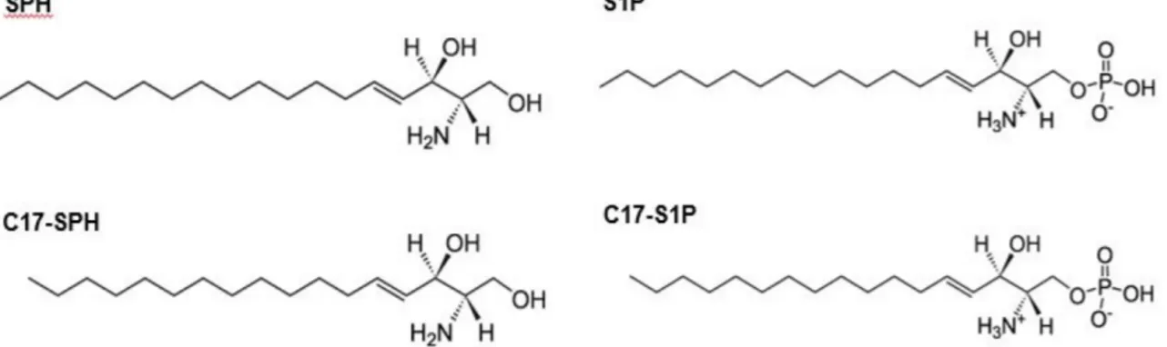 Fig 1. Molecular structure and empirical formula for SPH, S1P, C17-SPH and C17-S1P.