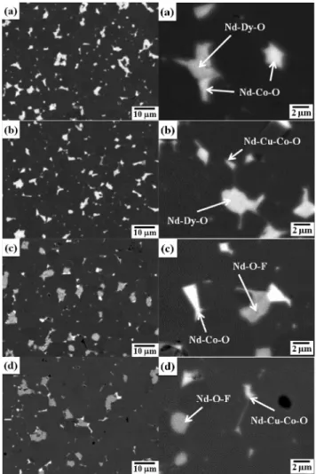 Fig. 4. (a) XRD patterns and (b) texture coefficients of sintered
