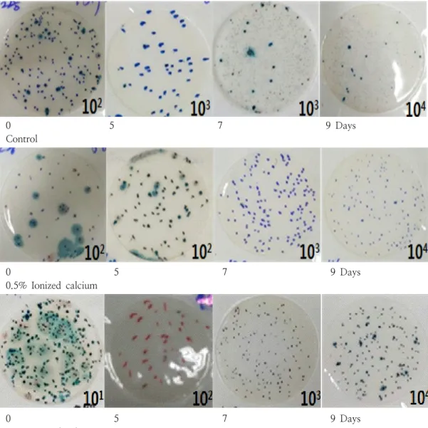Fig.  2.  Pictures  of  total  bacterial  counts  in  surface  of  chicken  meat  according  to  storage  days  after  cooling  water  treatment  using  ionized  calcium.