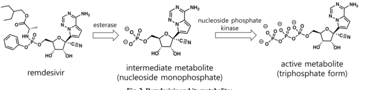 Fig. 2. Remdesivir and its metabolites