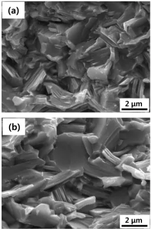 Fig. 1. Scanning electron micrographs of fracture surface of Bi 0.5 Sb 1.5 Te 3  sintered (a) at 350 o C for 30 seconds and (b) at 370 o C for 1200 seconds.