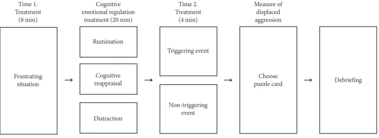 Figure 1. Experimental procedure.