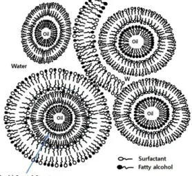 Fig.  3.  Schematic  diagram  of  liquid  crystal  having  multiple  lamellar  structures  using  Sucro-DS.