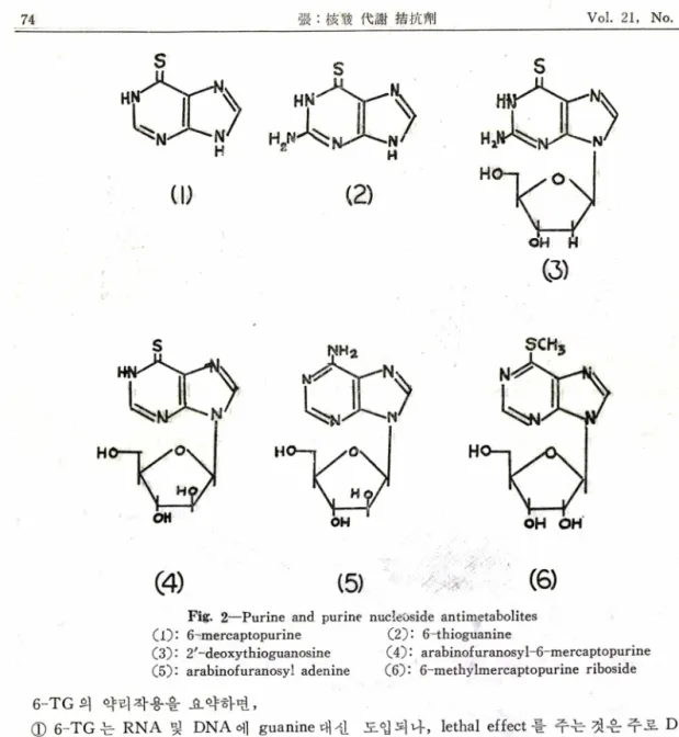 Fig.  2—Purine  and  purine  nucleOside  antimetabolites  Cl)*  6-'mercaptopurine  (2): 6-thioguanine