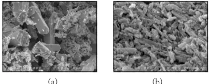 Fig.  3.  SEM  observations  of  active  material  (upper  :  positive,  lower  :  negative)  after  formation;  (a)  low  temperature  curing  and  3  step  formation,  (b)  low  temperature  curing  and  9  step  formation,  (c)  high  temperature  curin