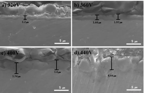 Fig. 2. SEM surface images of Ti samples MAOed versus voltage; (a) 320V, (b) 360V, (c) 400V and (d) 440V for 15 min in electrolyte (Na 3 PO 4 (10 g)/L).
