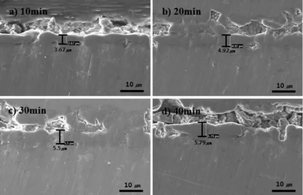 Fig. 6. SEM cross-section images of Ti samples MAOed versus treatment time; (a) 10 min, (b) 20 min, (c) 30 min and (d) 40 min by 440V in electrolyte (Na 3 PO 4 (10 g)/L).