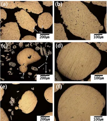 Fig. 2. FE-SEM micrographs of Mg and Fe starting powder.