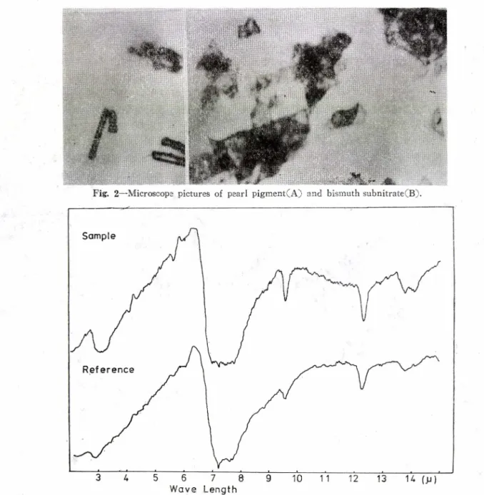 Fig.  2 Microscops  pictures  of  pearl  pigment(A)  and  bismuth subnitrate(B). 量이  69.4% 로  非光澤性  化合物의  72.6% 에  比하여  Bi 含量이  相當히  낮으며  次室酸비스무트의 藥典規定(7 1.5〜 74.5% )에  未達함을  알  수  있다