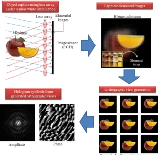 Fig.  1.  Hologram  synthesis  from  the  elemental  images