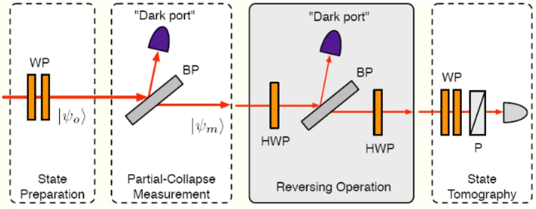 Fig.  1.  Schematic  of  the  experimental  setup. 