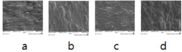Fig.  10.  Photographs  of  CCLs  after  etching  with  microetchants  containing  different  amounts  of  APS.