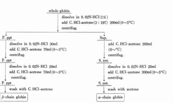 Fig. 1ᅳSeparation  of  a-and  /3-chain  globin  with  acidic-acetone  method  by  Wilson  and  Smith.