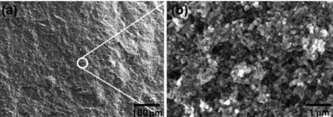 Fig. 3. The fracture surface morphology of the green part of the Fe nanopowder at: (a) low-magnification and (b) high- high-magnification.
