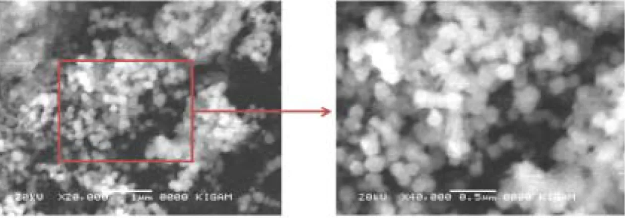 Fig  2.  SEM  micrograph  of  nickel  powder  from  reaction  condition  of  [N 2 H 4 ]  =  1:4,  [Ni 2+ ]:[NaOH]  =  1:3