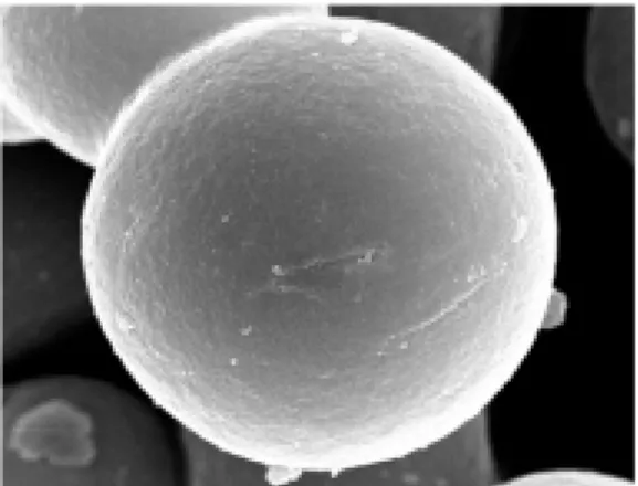 Fig.  1.  SEM  photograph  of  30CaO­70SiO 2   powder 