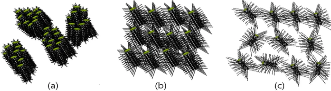 Fig.  5.  Speculative  modeling  of  the  SWNTs  dispersion  in  the  composite  matrix;  (a)  with  PyC4  modification,  (b)  with  PyC12  modification  and  (c)  with  PyC18  modification.