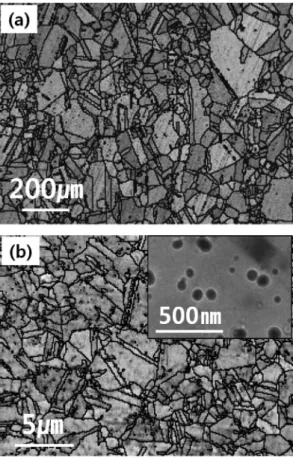 Fig. 3. Microstructure of solution treated (a) conventional Alloy 617 and (b) Alloy 617 base ODS alloy.