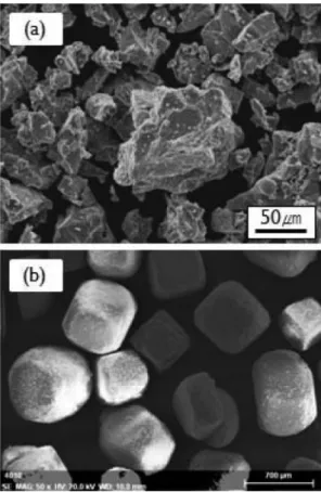 Fig. 2. SEM micrograph of powders: (a) titanium and (b) NaCl.