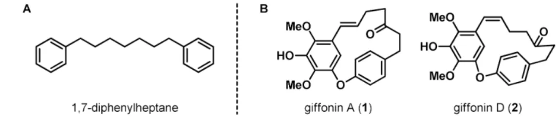 Fig. 2 − Retrosynthetic analysis of giffonins A (1) and D (2).