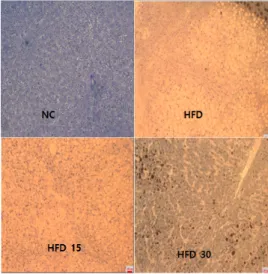 Fig.  3.  Morphological  change  of  liver  by  oral  administration  of      SGE  in  obese  rats
