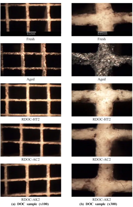 Fig. 2. Optical microscope analysis of the DOC samples. (a) DOC sample (x100), (b) DOC sample (x300).
