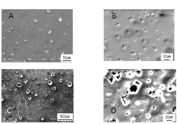 Fig.  2.  Scanning  Electron  Microscope  of  polymer  surface  before  (A  &amp;  B)  and  after  (C  &amp;  D)                    cavitation  test  4