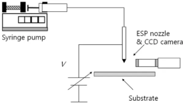 Fig. 1. Schematic diagram of ESP (electrospray) system.