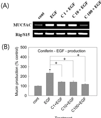 Fig. 2 − Effect of coniferin on EGF-induced MUC5AC gene expression and mucin production from NCI-H292 cells.