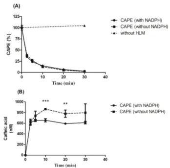 Fig. 2 − Evaluation of the metabolism dependence of the inhibitory effects of CAPE on CYP1A2 (A) and CYP2C9 (B) in HLM.