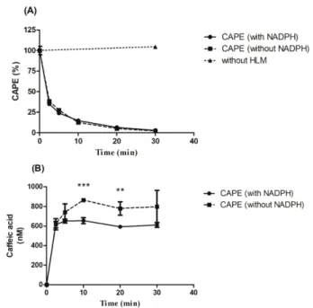 Fig. 2 − Evaluation of the metabolism dependence of the inhibitory effects of CAPE on CYP1A2 (A) and CYP2C9 (B) in HLM.