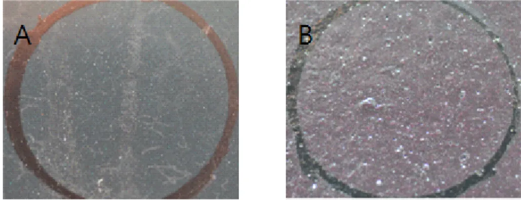 Table  5.  Comparison  of  sample  surface(pore  area,  pore  area  ratio)  between  manual  and  spray  painting