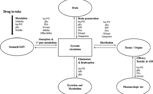 Fig. 3 − Kang et al., Obtainable Physicochemical properties in early and late discovery stage.