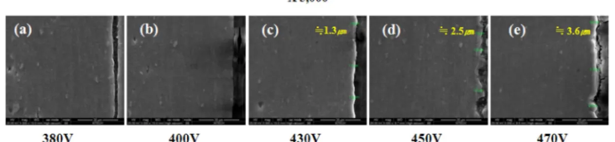 Fig. 5. SEM image about cross-section microstructure of oxidized layer and its EDS results;(treatment condition: 430V for 30 min in 10 g/L), [1] oxidized layer, [2] Aluminum matrix.