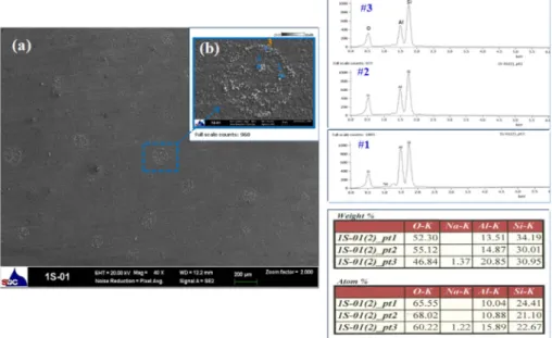 Fig. 9. SEM image about surface microstructure of oxidized layer and its EDS results; (treatment condition: 450V for 15 min in 40 g/L).