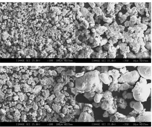 Fig. 2. Morphology of Fe powders formed by water atomization: (a) powder A and (b) powder B.