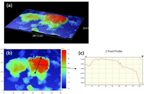 Fig. 3. Results of 3D-laser profiler: (a) 3-dimensional image of powders, (b) 2-dimensional image, and (c) line profile between two points.