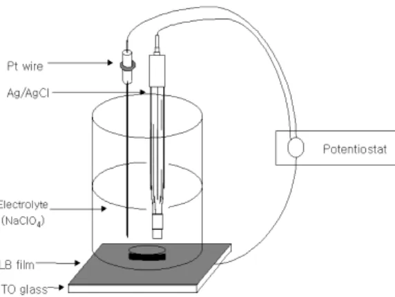 Fig.  3.  Cyclic  voltammograms  for  an  ITO  glass  electrode(a)  and  monolayer  C14-DMPC  mixture  LB  film  on  an  ITO  electrode(b)  in  0.01  N  NaClO 4   solution