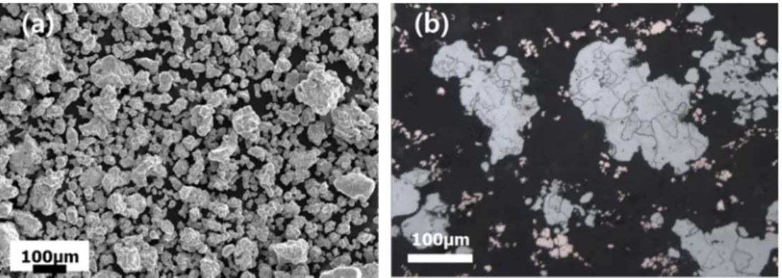 Fig. 2. SEM (a) and OM (b) images of water atomized iron powder: irregular shape with polycrystalline (grain size: 1~10