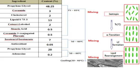 Fig.  3.  Thermosensitive  polymer  non-hydrous  skin  analogous  layer  LC  production  flow  mapping.