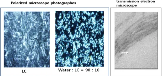 Fig.  6.  Polarized  microscope  photographes  and  transmission  electron  microscope  for  a  thermosensitive  smart  sensor  LC.