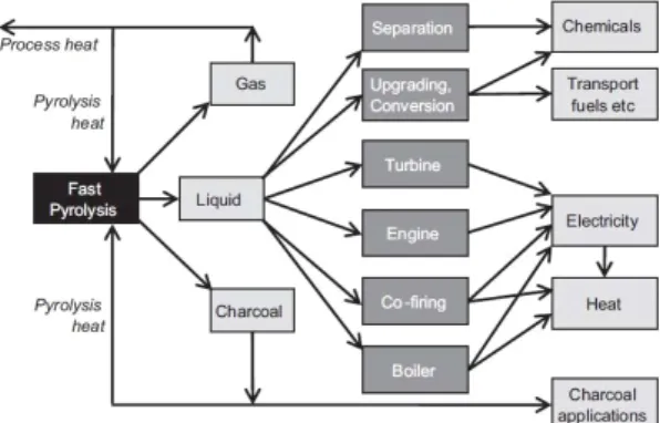 Fig.  5.  Application  sector  of  bio-oil.