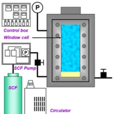 Fig.  1.  Scheme  for  supercritical  fluid  process.