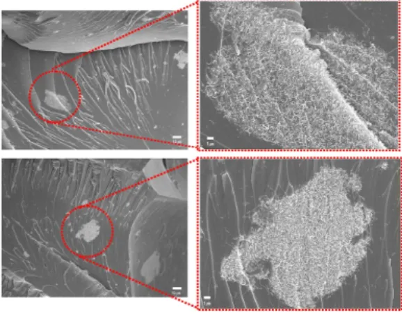 Fig.  3.  Storage  modulus  and  galss  transition  temperature  of  the  epoxy  composite; 
