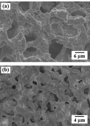 Fig. 6. SEM micrograph of cross section parallel to the macroscopic camphene growth direction for the specimen with the initial CuO contents of 14 vol%, sintered at 500 o C for 1 h.