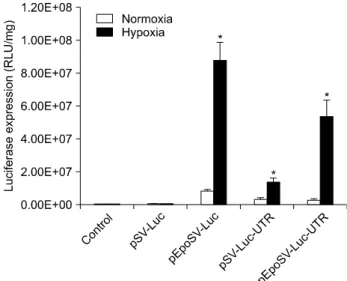 Fig. 1. Construction of hypoxia-inducible gene expression system.