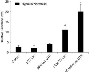 Fig.  6.  VEGF  expression  level  under  normoxia  or  hypoxia  conditions. Gene expression was increased in the presence of Epo enhancer