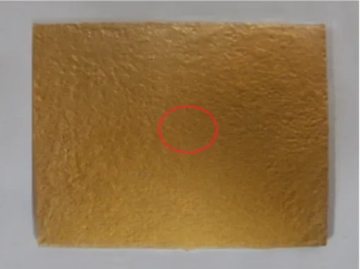 Fig.  5.  After  treatment  with  Alkalic  and  Acidic  solution  for  1  hr.
